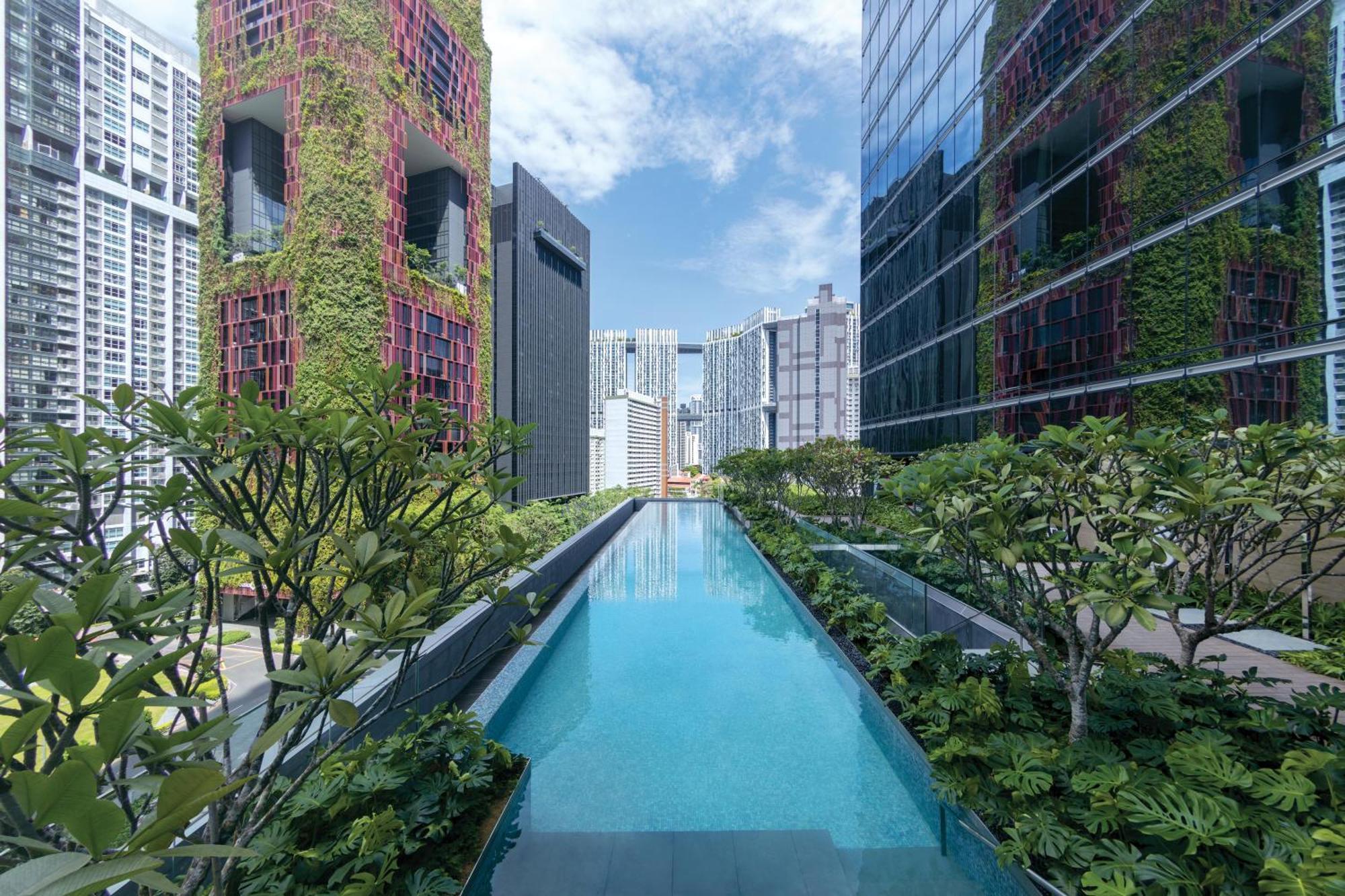 Sofitel Singapore City Centre Dış mekan fotoğraf